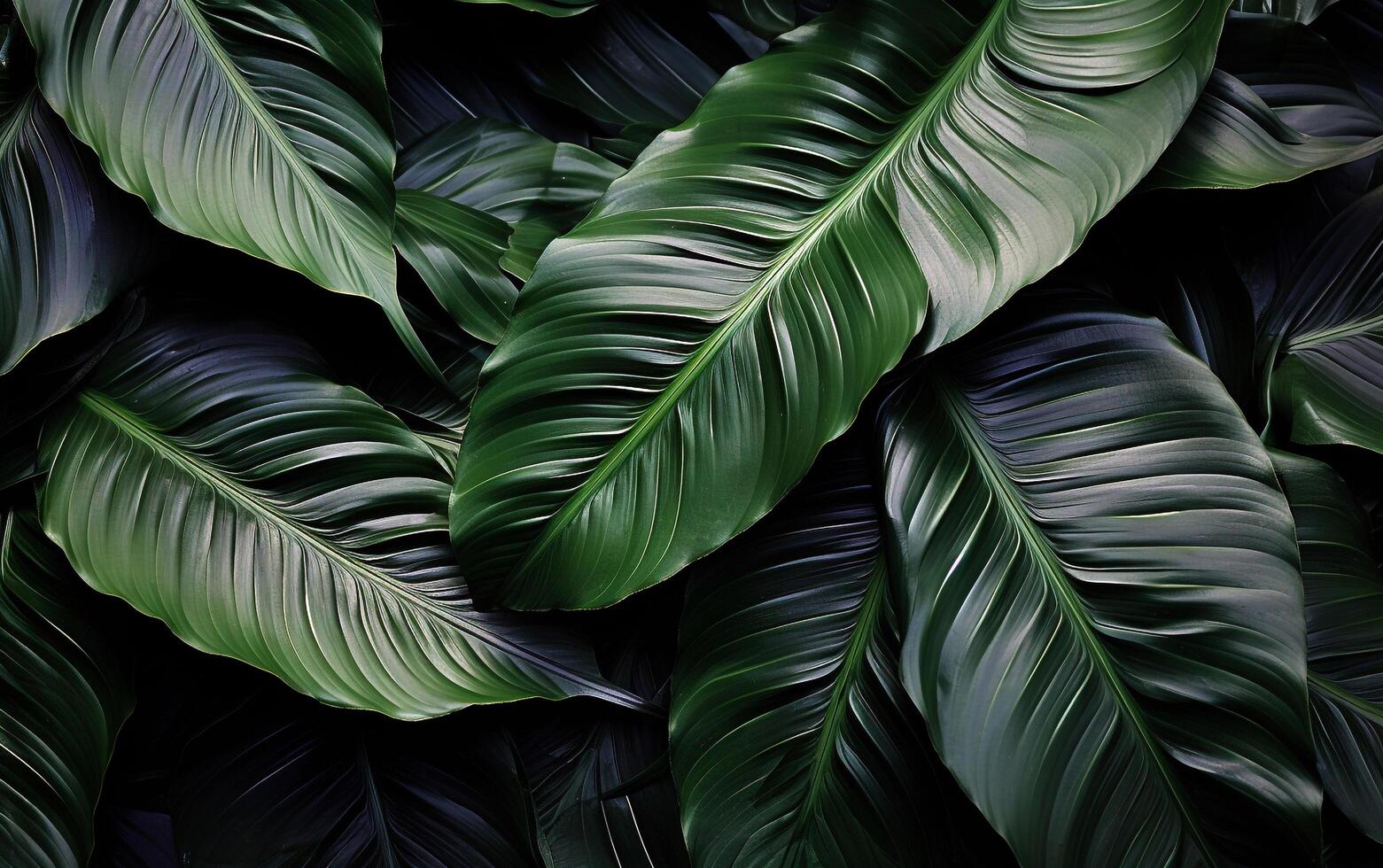 Nature's Greenery Abstract Top View Leaf Texture photo