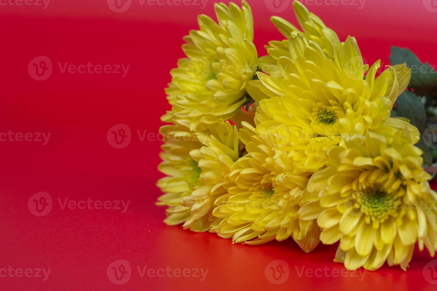 Design concept of holiday greeting design with flower bouquet on red background. photo