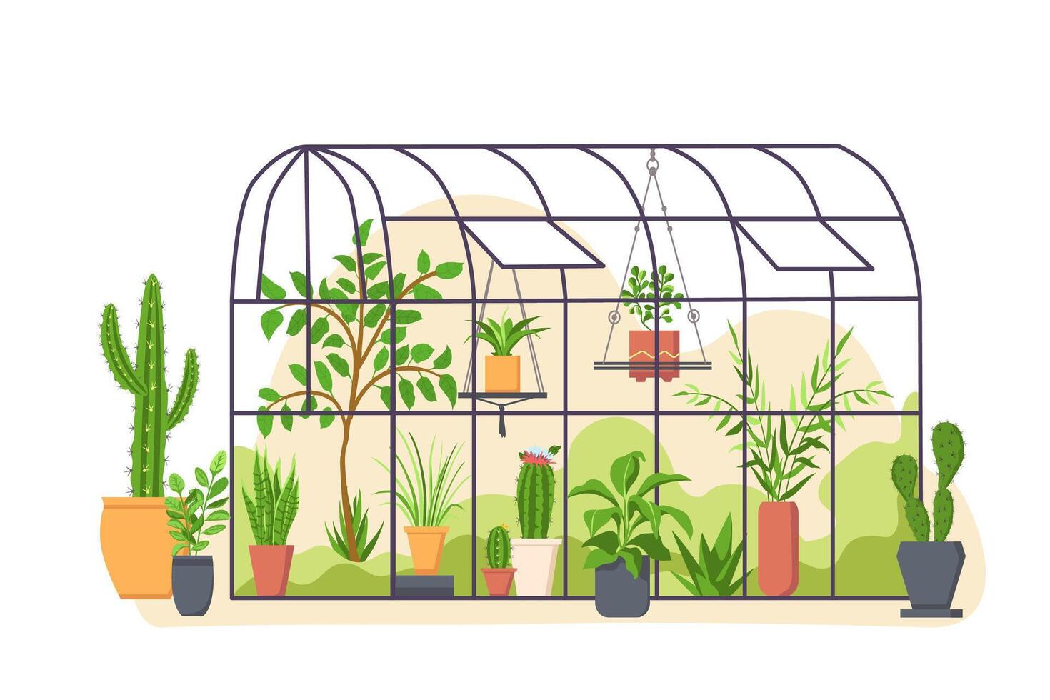 Garden greenhouse. Glass botanical orangery house with cactus and tropical cultivated plants in pots. Cartoon greenery nature vector concept