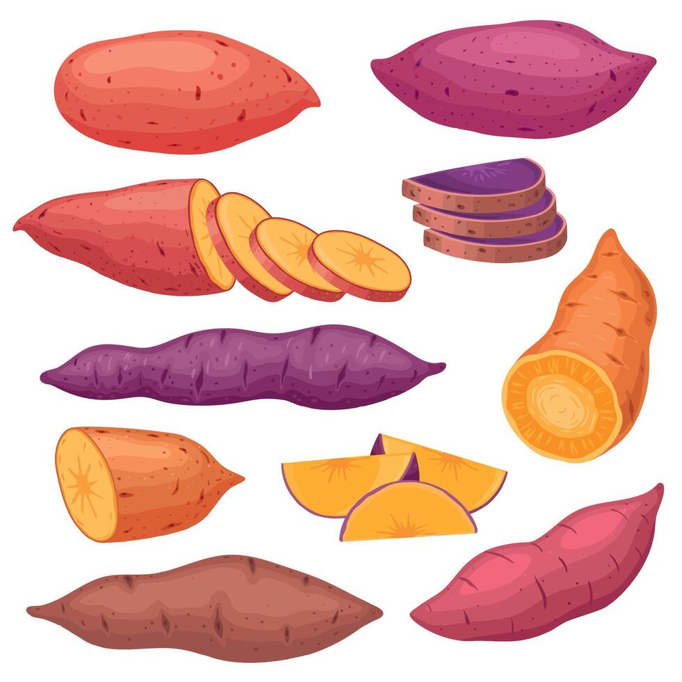 dibujos animados dulce patata tipos, rebanado batata o batat. horneado dulce rojo papas, sano caliente otoño vegetal bocadillo. natural vegano comida vector conjunto