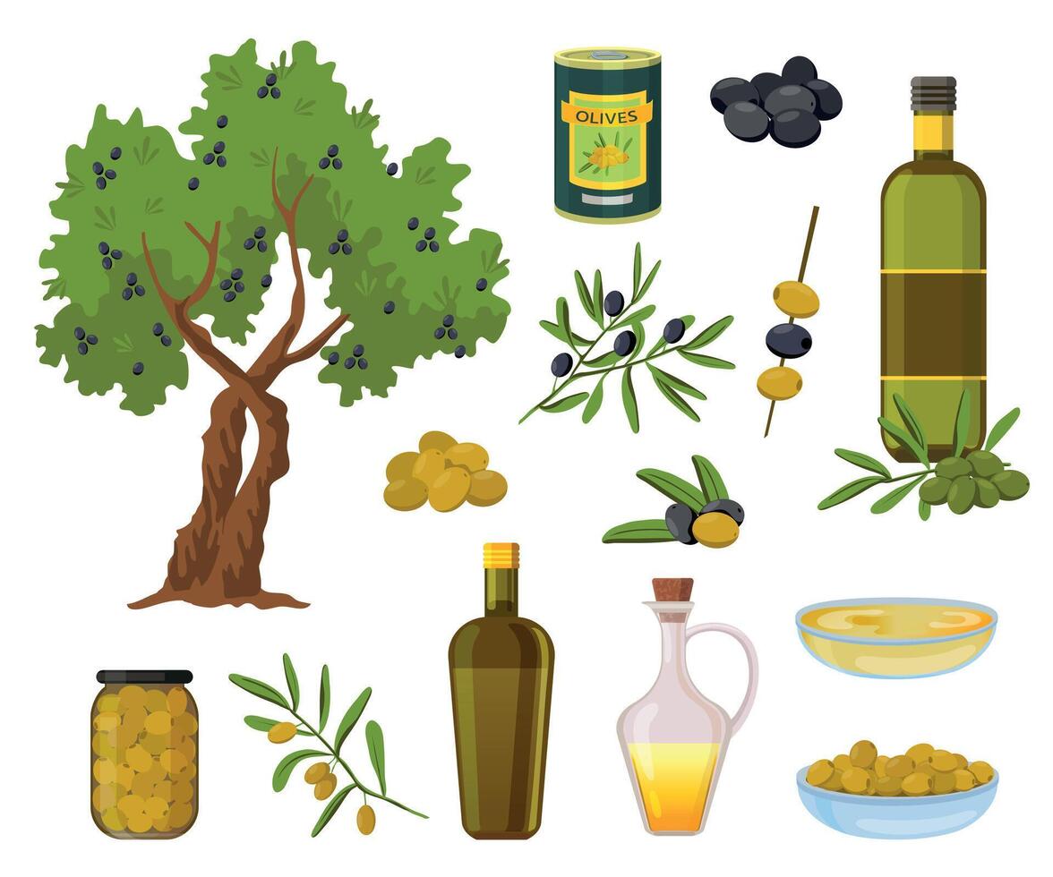 Cartoon olive products. Black and green olives in jars, healthy virgin oil in bottles and bowl. Olive tree and branch with leaves vector set