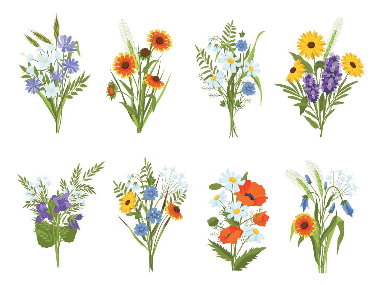 Blossom bouquets with garden and meadow wild flowers and herbs. Beautiful summer field wildflowers, daisy, sunflower and poppy vector set