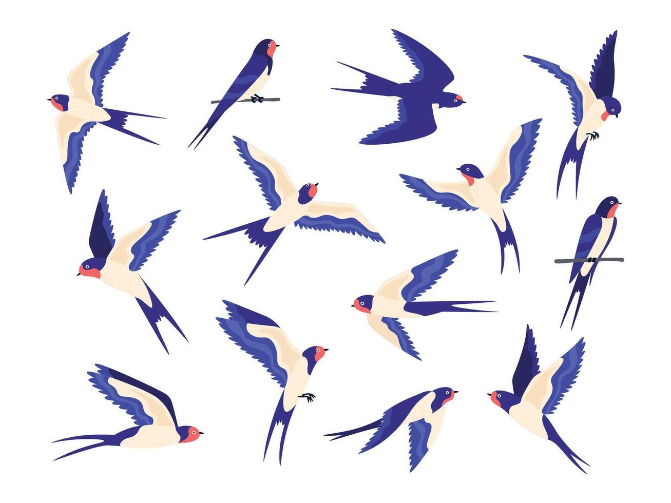 Cartoon small barn swallow birds flight poses. Flat swallows fly in sky and sit on wire. Swift black white bird flock. Swallow vector set