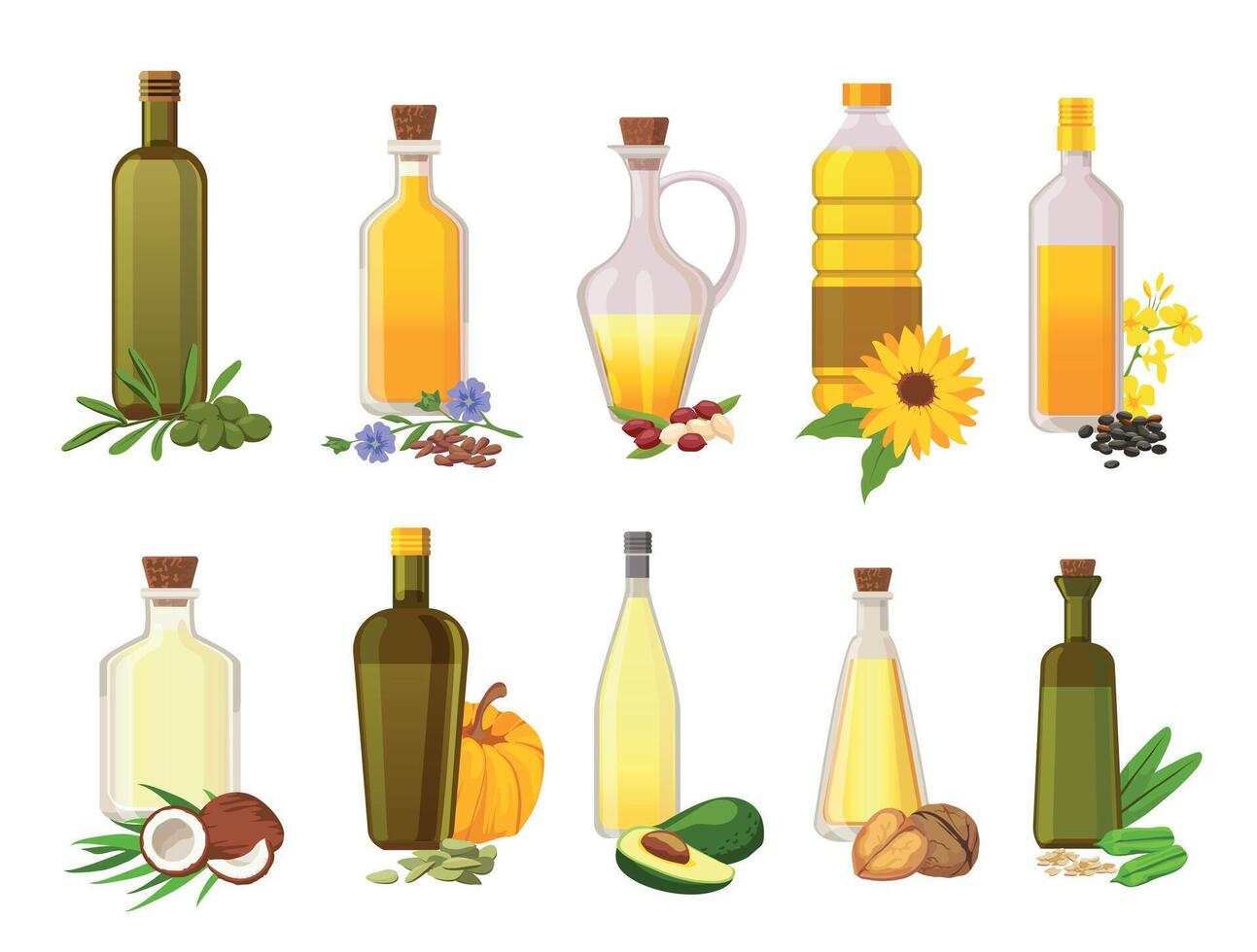 Cooking oil bottles. Natural vegetable, olive, sunflower, avocado and coconut virgin organic oils in glass with ingredient plants vector set