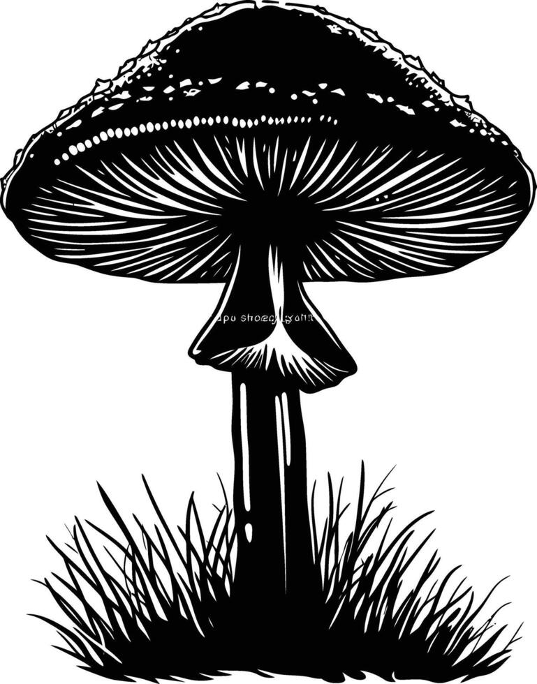 AI generated Silhouette mushroom full body black color only vector