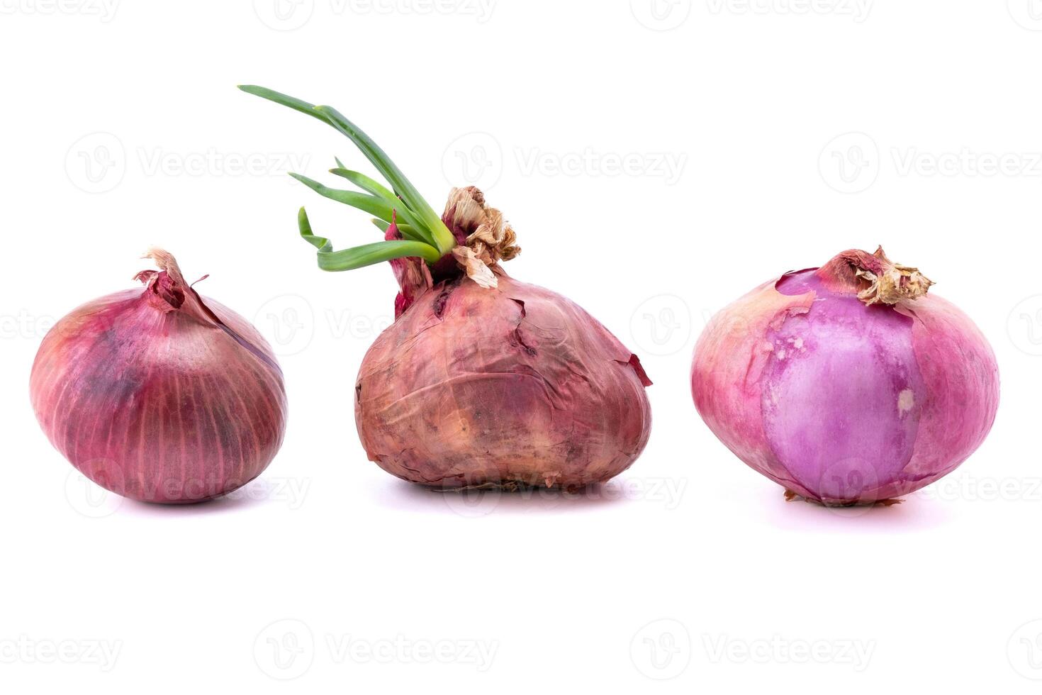 Tres grande cebollas aislado en blanco antecedentes con recorte camino. tipo de especias usado en cocinando. Fresco bombillas de cebolla en un blanco antecedentes. foto