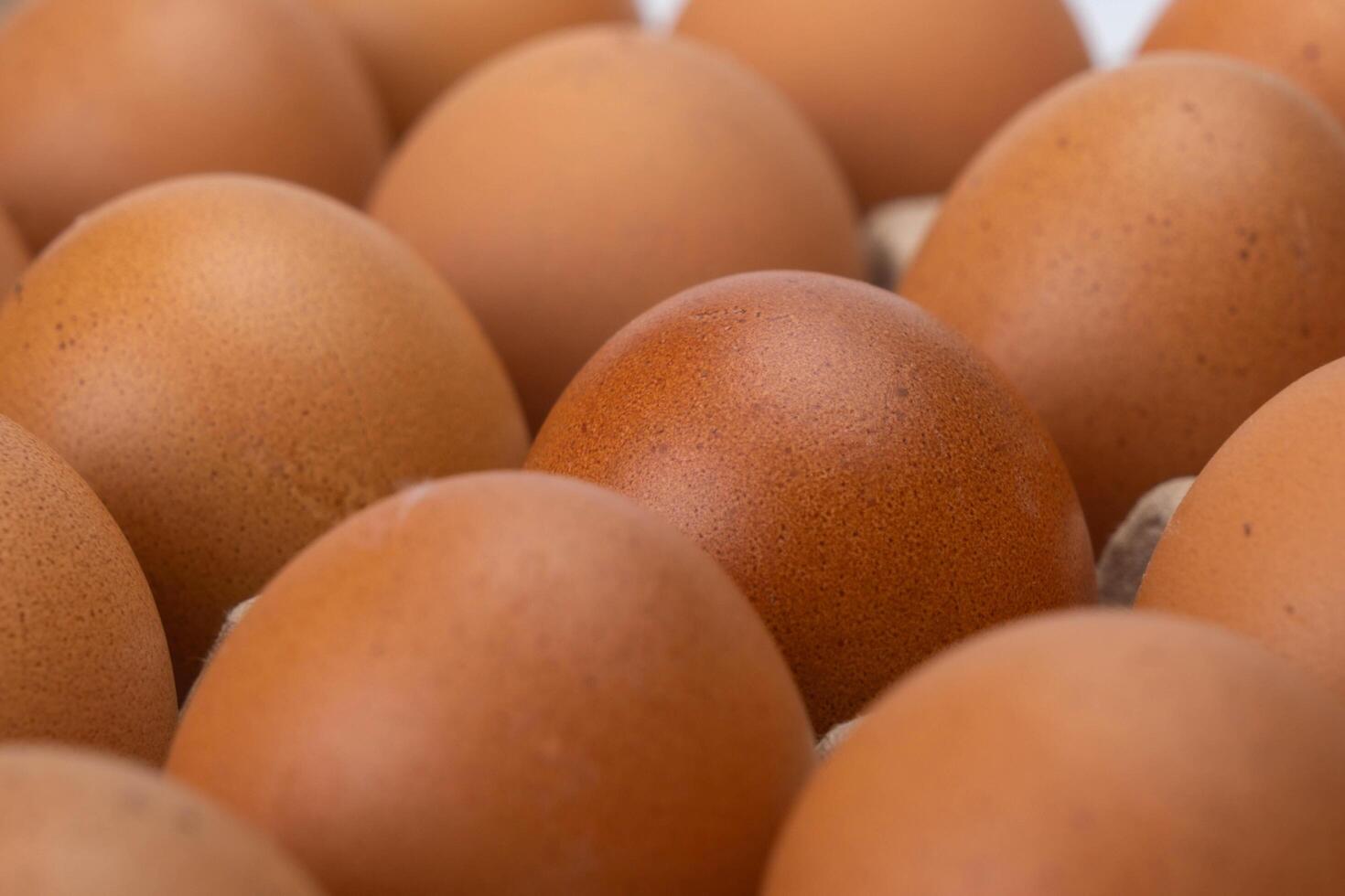 Raw chicken eggs in egg box close up. Eggs are in the panel. Fresh chicken eggs in a cardboard container in the kitchen. photo