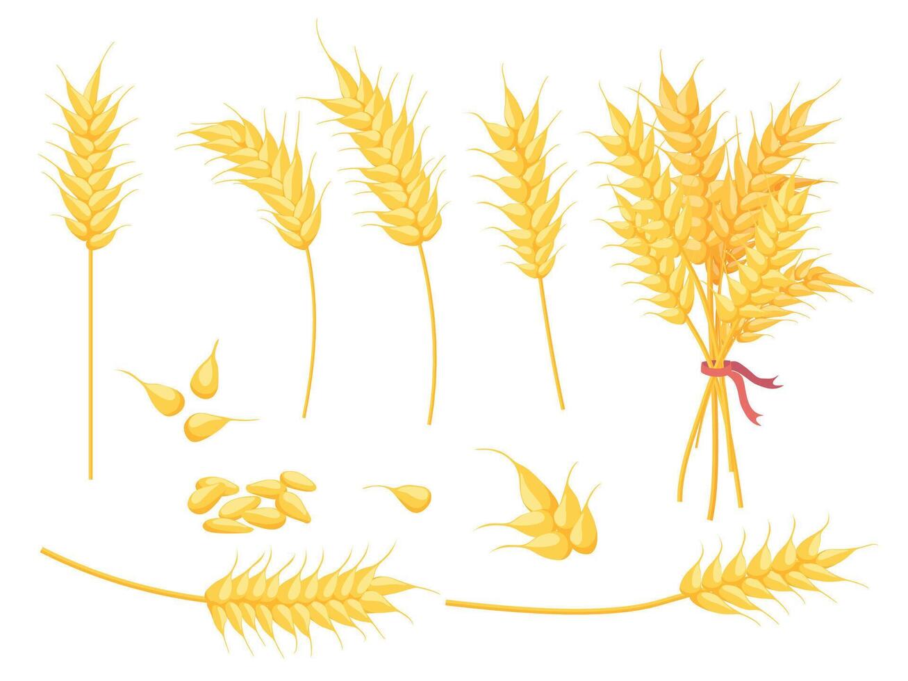 dibujos animados maduro oro trigo planta, grano y oreja. amarillo soltero espiguilla, ramo de flores y semilla. granja cultivo, panadería y agrícola símbolo vector conjunto