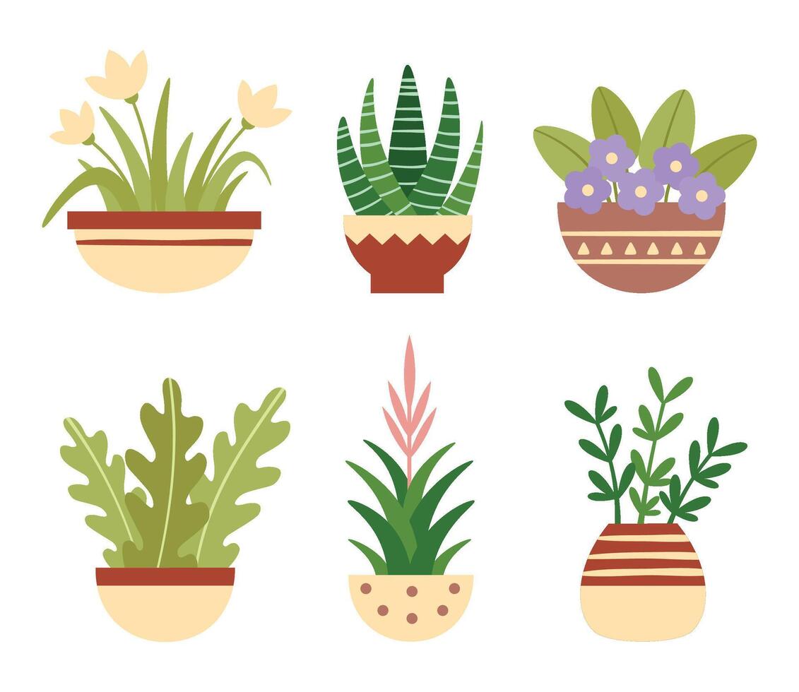 Home plants in pots. Botanical succulents, blooming flowers with green leaves. House decoration, home garden elements vector