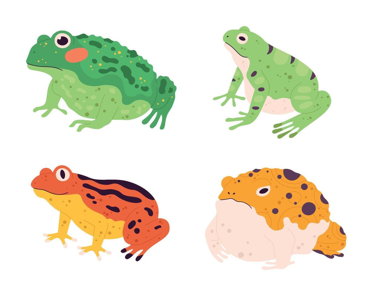 Frog set. Tropical colorful animals. Different fauna characters of wildlife or nature. Exotic green, yellow and orange amphibians vector