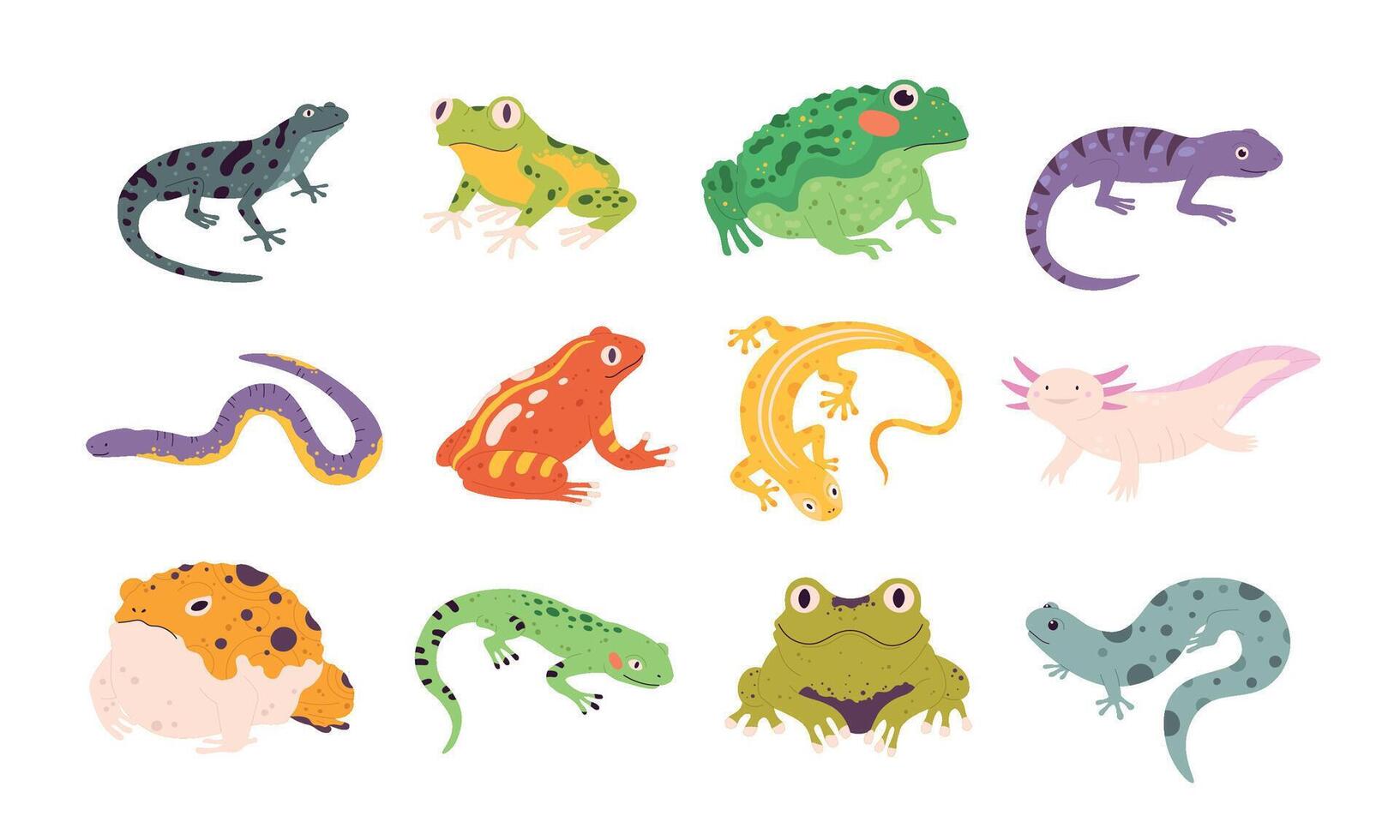 Cartoon exotic amphibian and reptiles, lizards, newts, toads and frogs. Tropical animals, gecko, triton, salamander and axolotl vector set