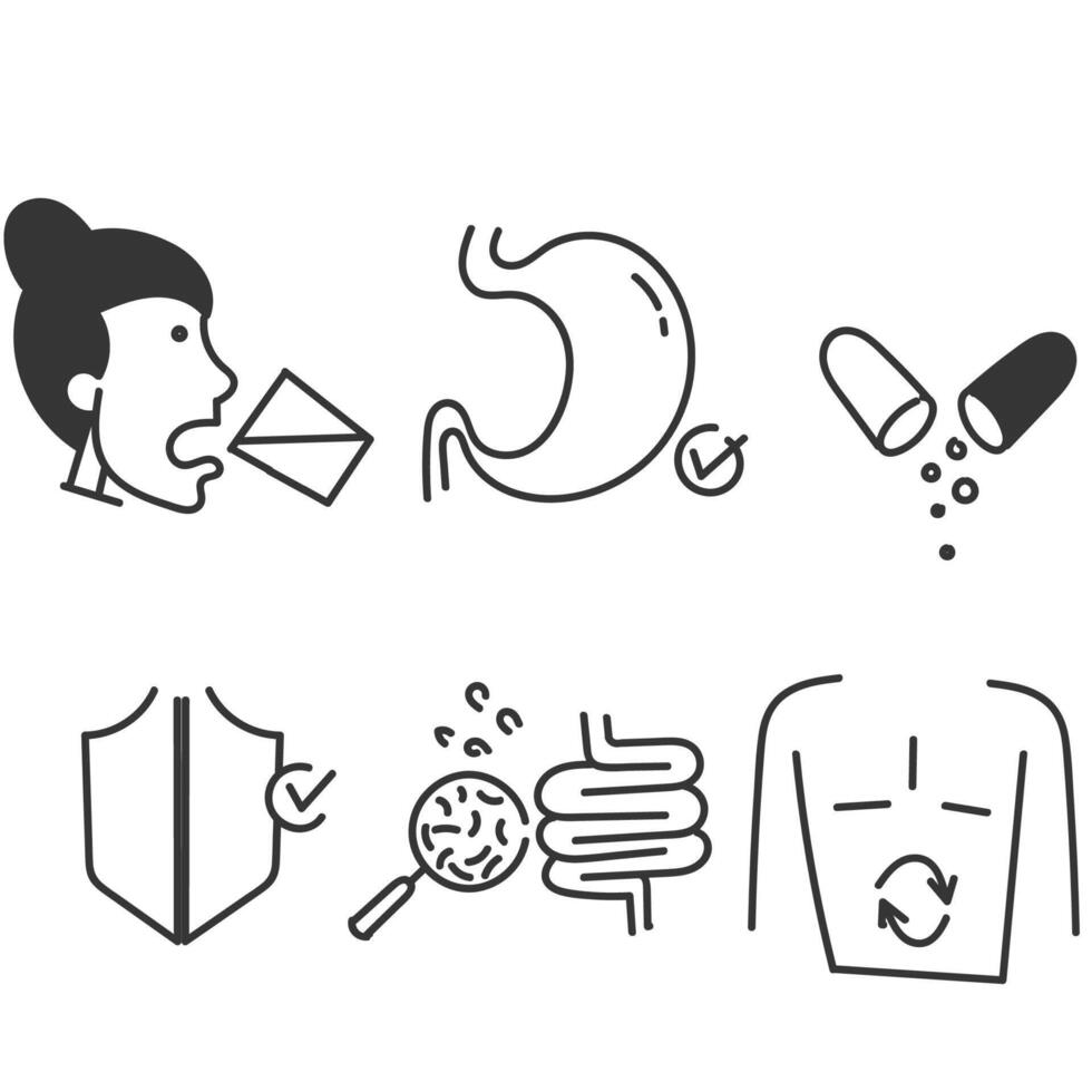 hand drawn doodle Digestion intestine stomach and probiotic icon related vector