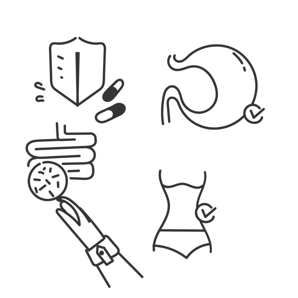 hand drawn doodle Digestion intestine stomach and probiotic icon related vector