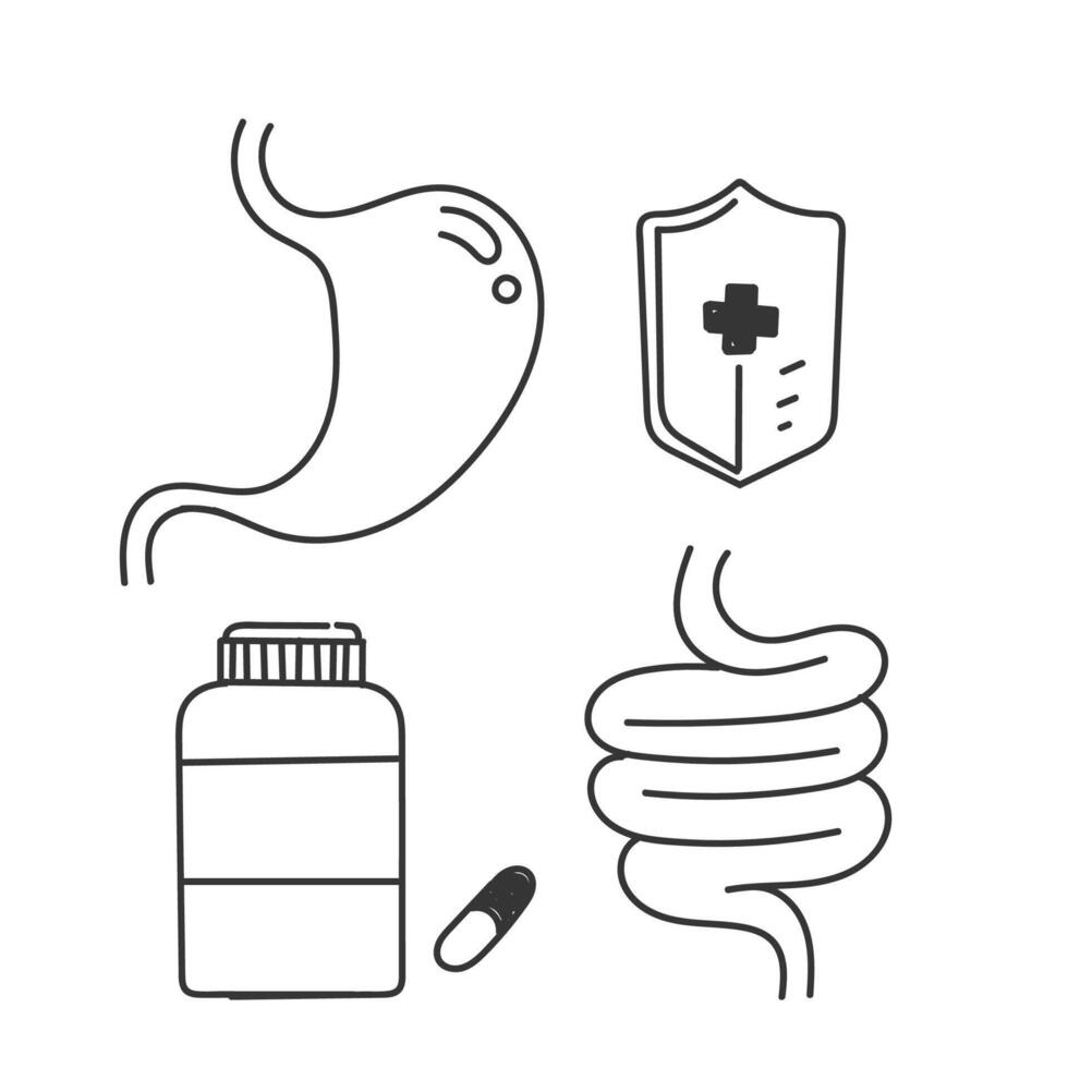 hand drawn doodle Digestion intestine stomach and probiotic icon related vector