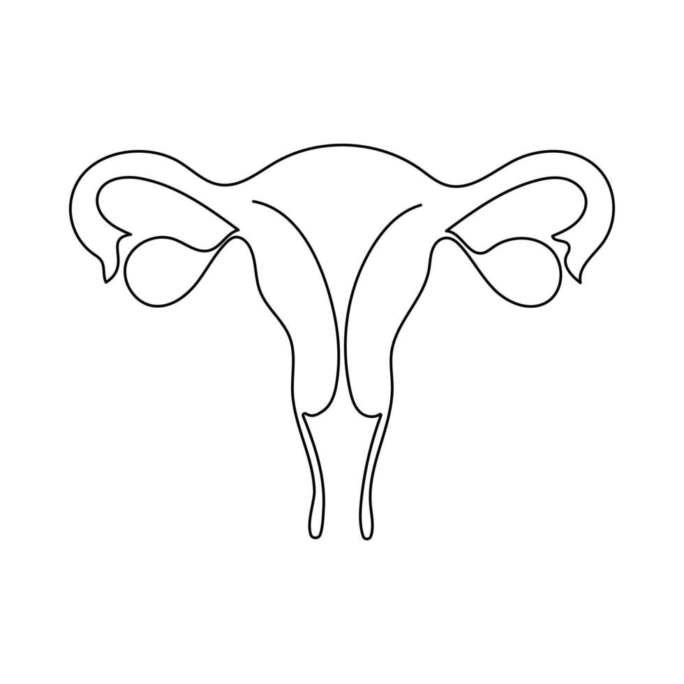 Continuous single one line drawing Uterus and ovaries, organs of female reproductive system and women's day vector art illustration