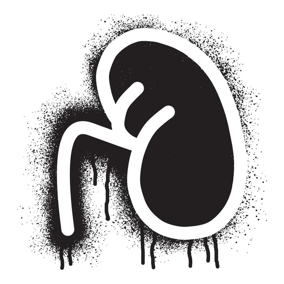 riñón plantilla pintada ilustración dibujado con negro rociar pintar vector