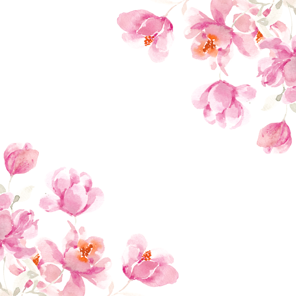 Pink Magnolia Hand Painted Watercolor Flower Border png