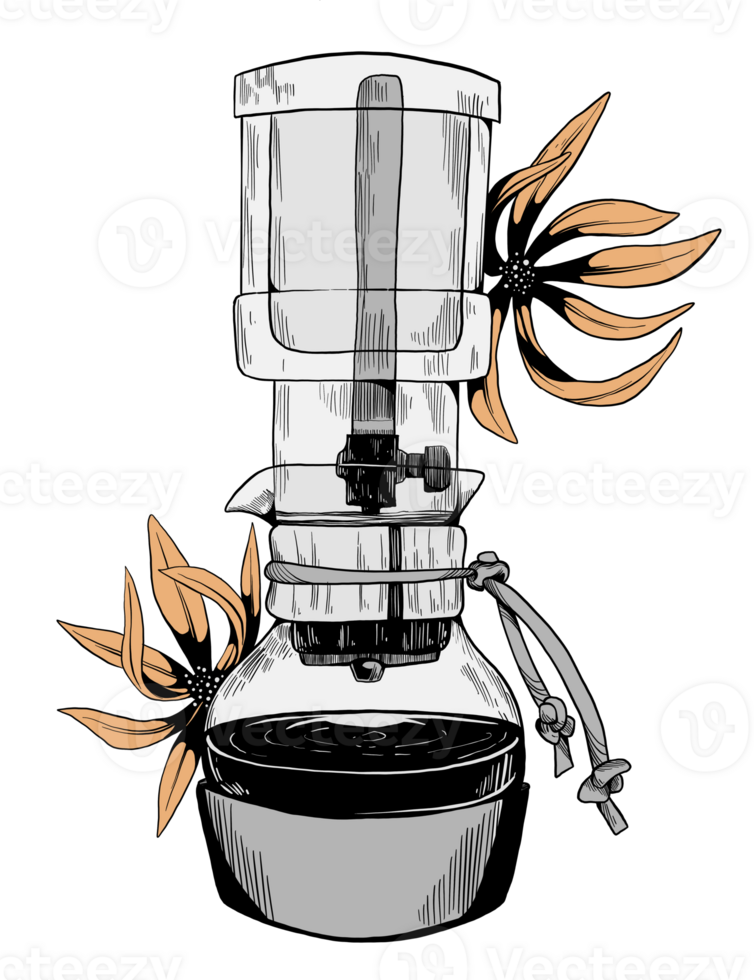 Filter drip coffee flower sketch illustration png