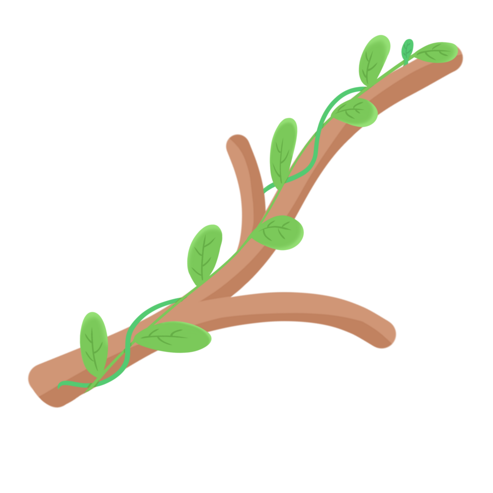 decorative tree branches png