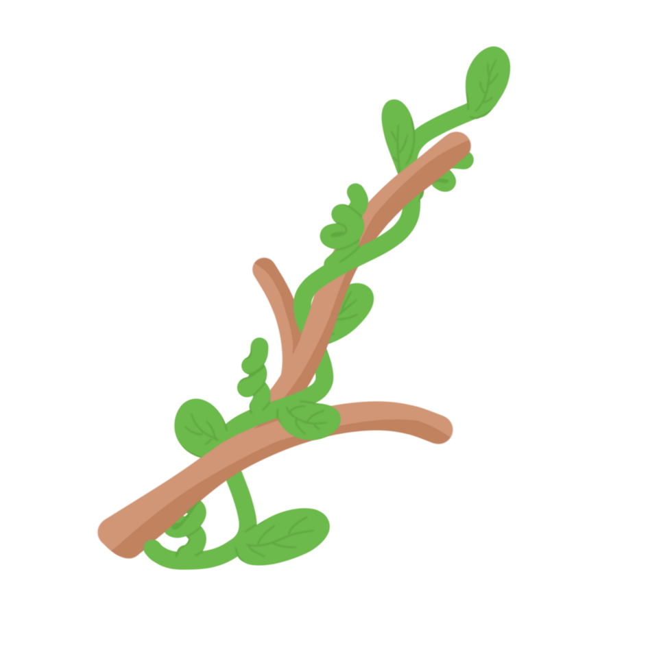 decorative tree branches png