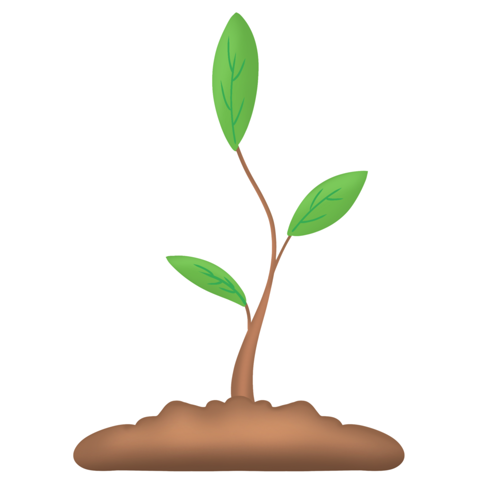 Small sapling icon png