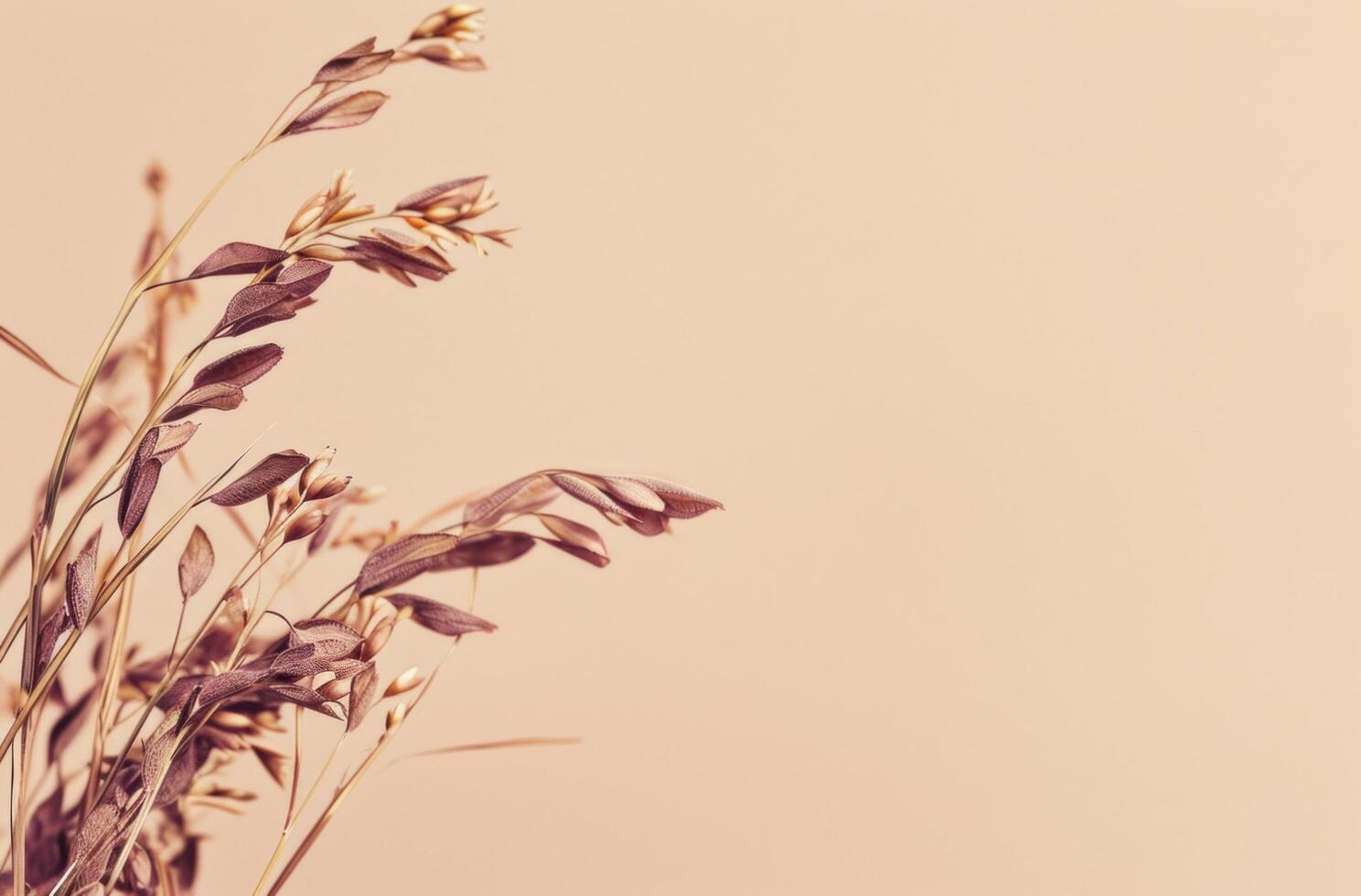 AI generated sage grass on a beige background photo