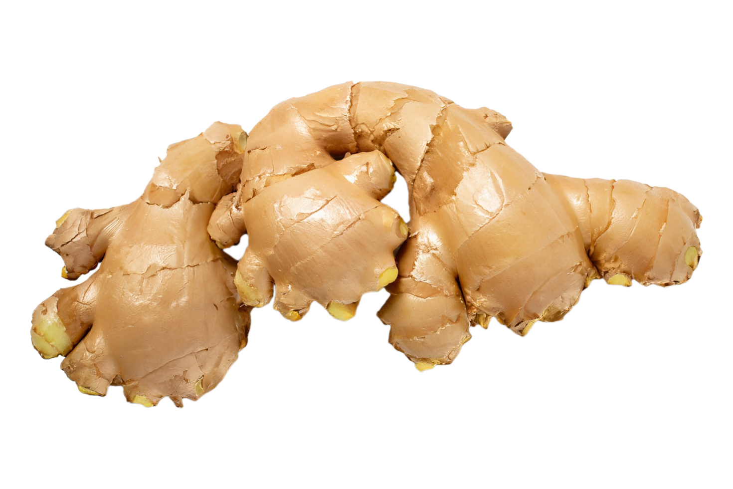 AI generated Ginger is isolated in a transparent background. Ginger PNG