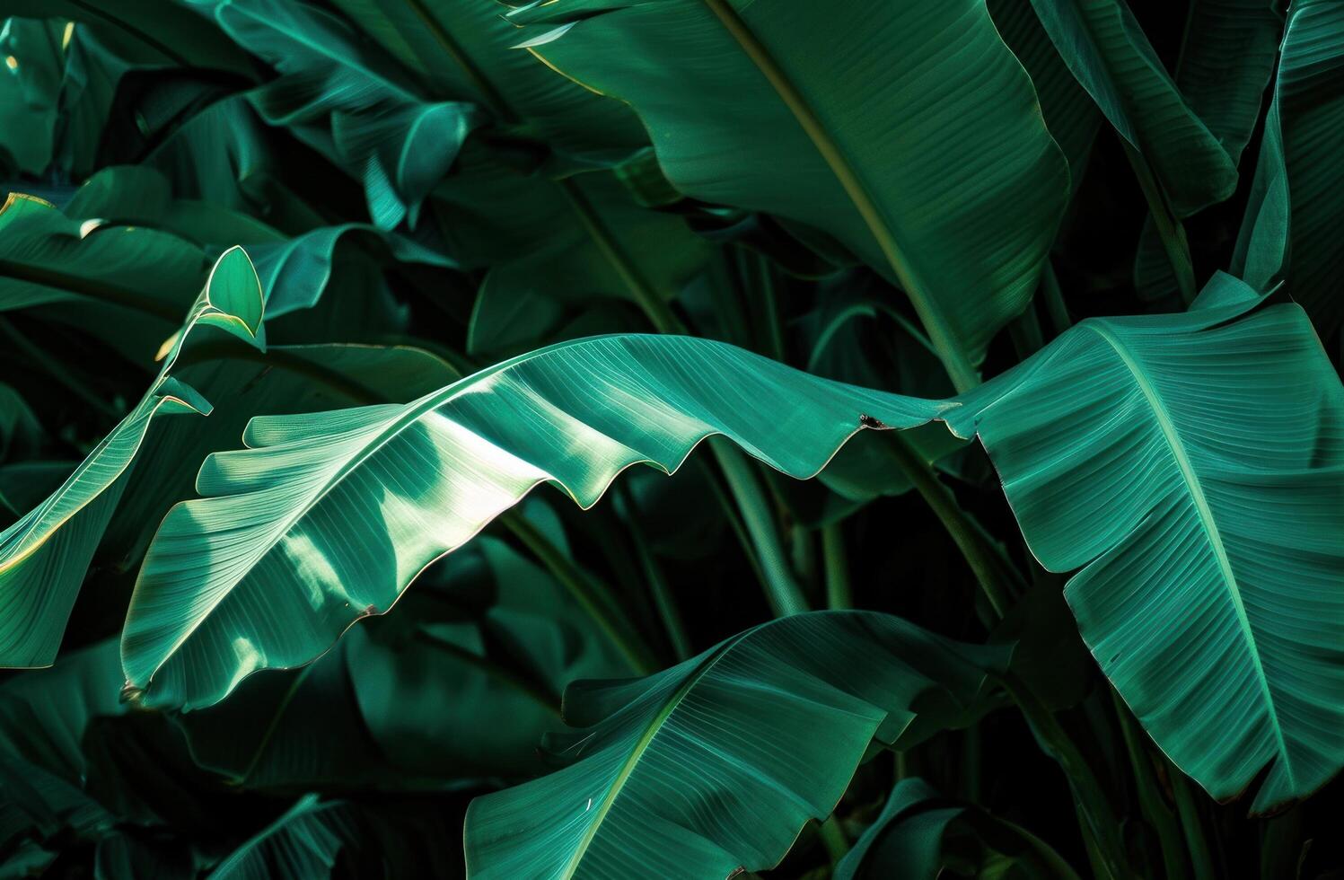 AI generated a close up image of a bunch of very large banana leaves photo