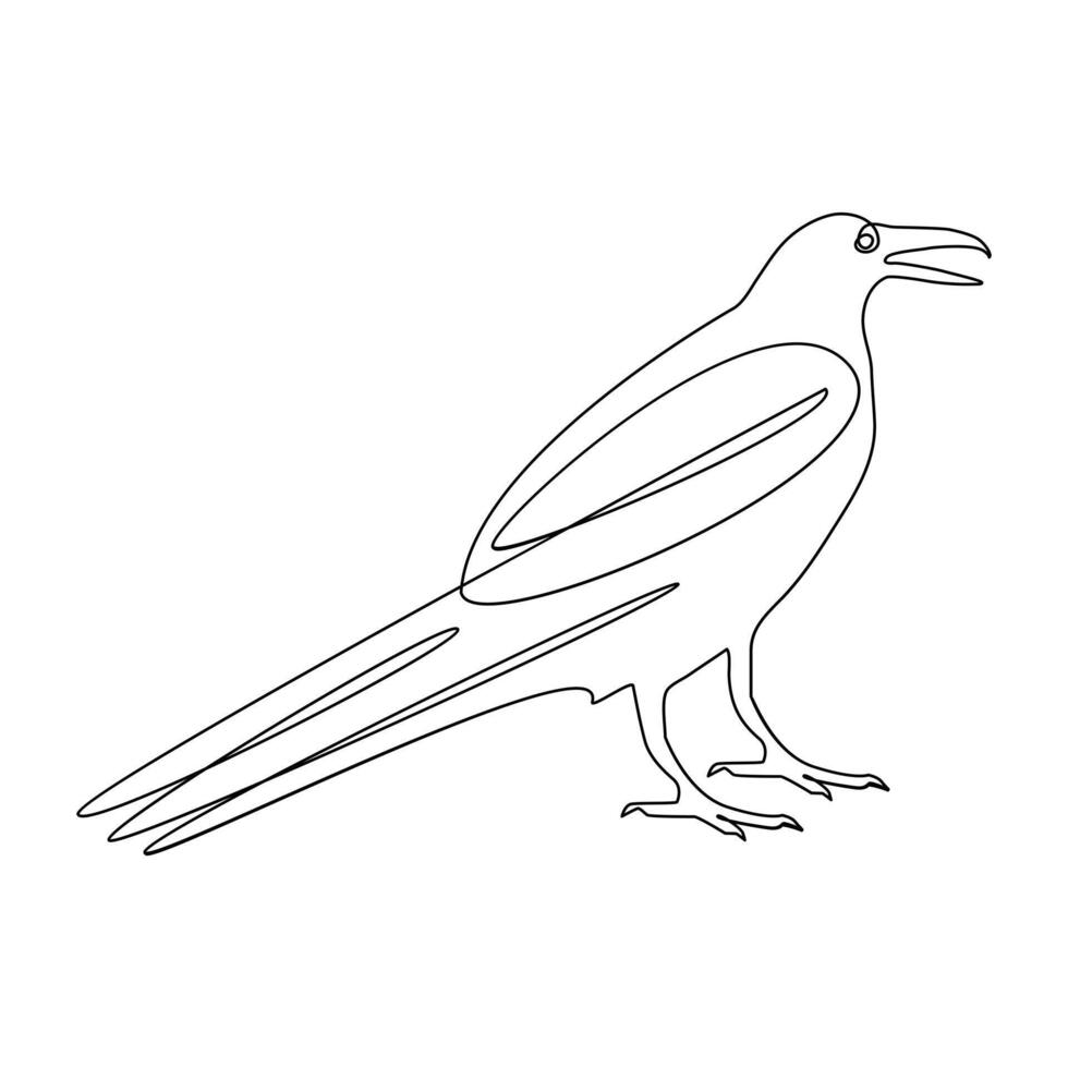 Vector crow drawing in one continuous line isolated on white background illustration minimal