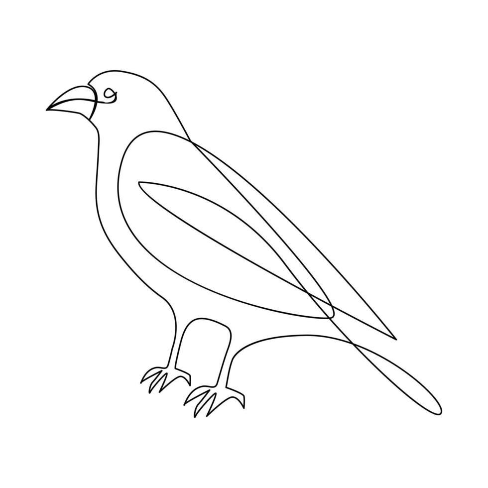 Vector crow drawing in one continuous line isolated on white background illustration minimal