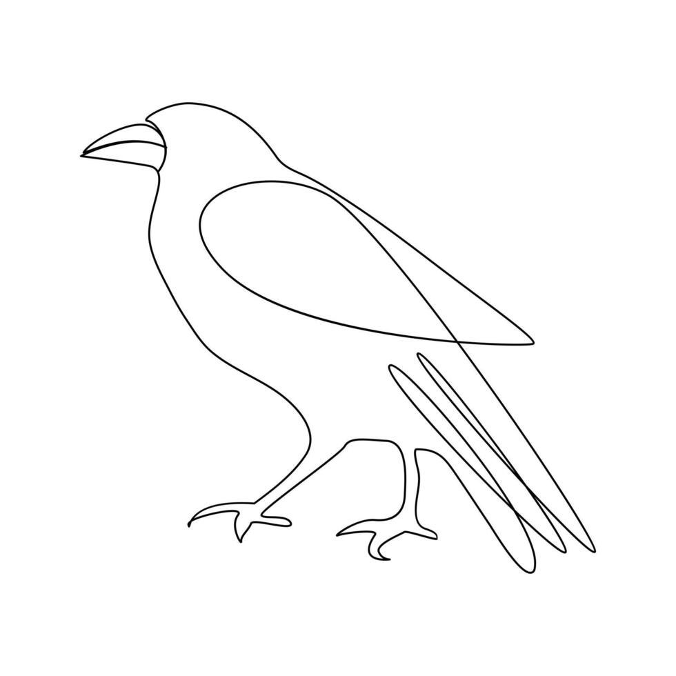 Vector crow drawing in one continuous line isolated on white background illustration minimal