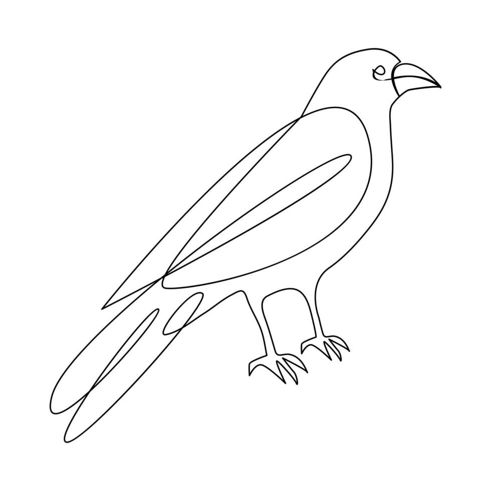 Vector crow drawing in one continuous line isolated on white background illustration minimal