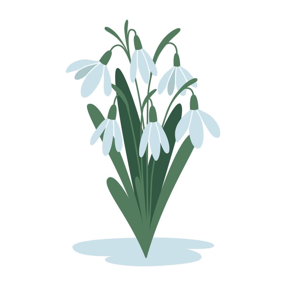 Bouquet of snowdrops, first spring flowers, cartoon style. Trendy modern vector illustration isolated on white background, hand drawn, flat