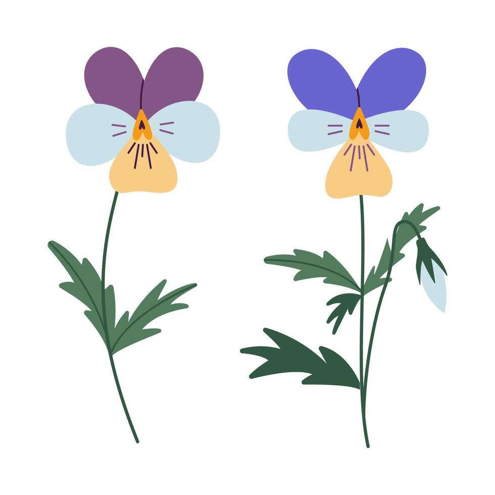 viola o Violeta flores, dibujos animados estilo. de moda moderno vector ilustración aislado en blanco fondo, mano dibujado, plano