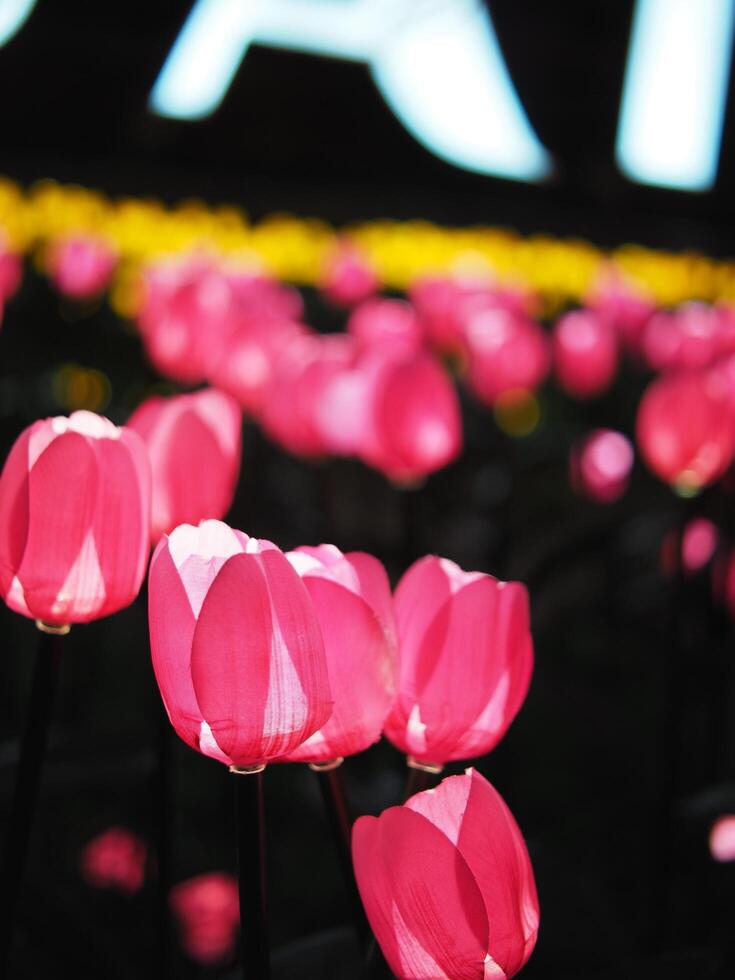 mano hecho tulipán y eléctrico ligero bulbo creat para voló ligero flores celebrar ciudad foto