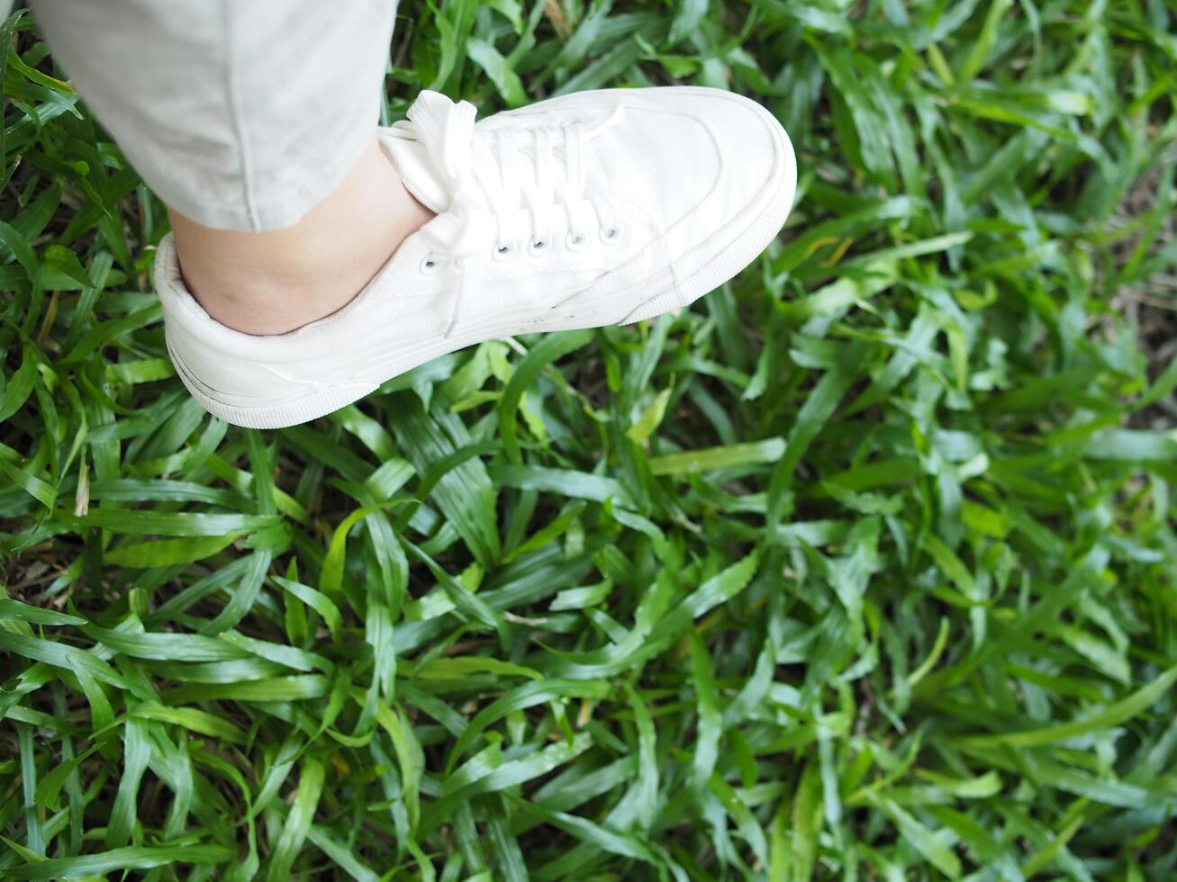 white canvas shoes on green and wooden backgrjound classic style easy and smooth life style photo