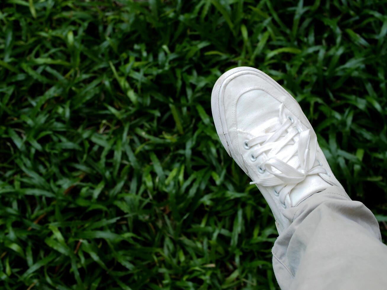 white canvas shoes on green and wooden backgrjound classic style easy and smooth life style photo