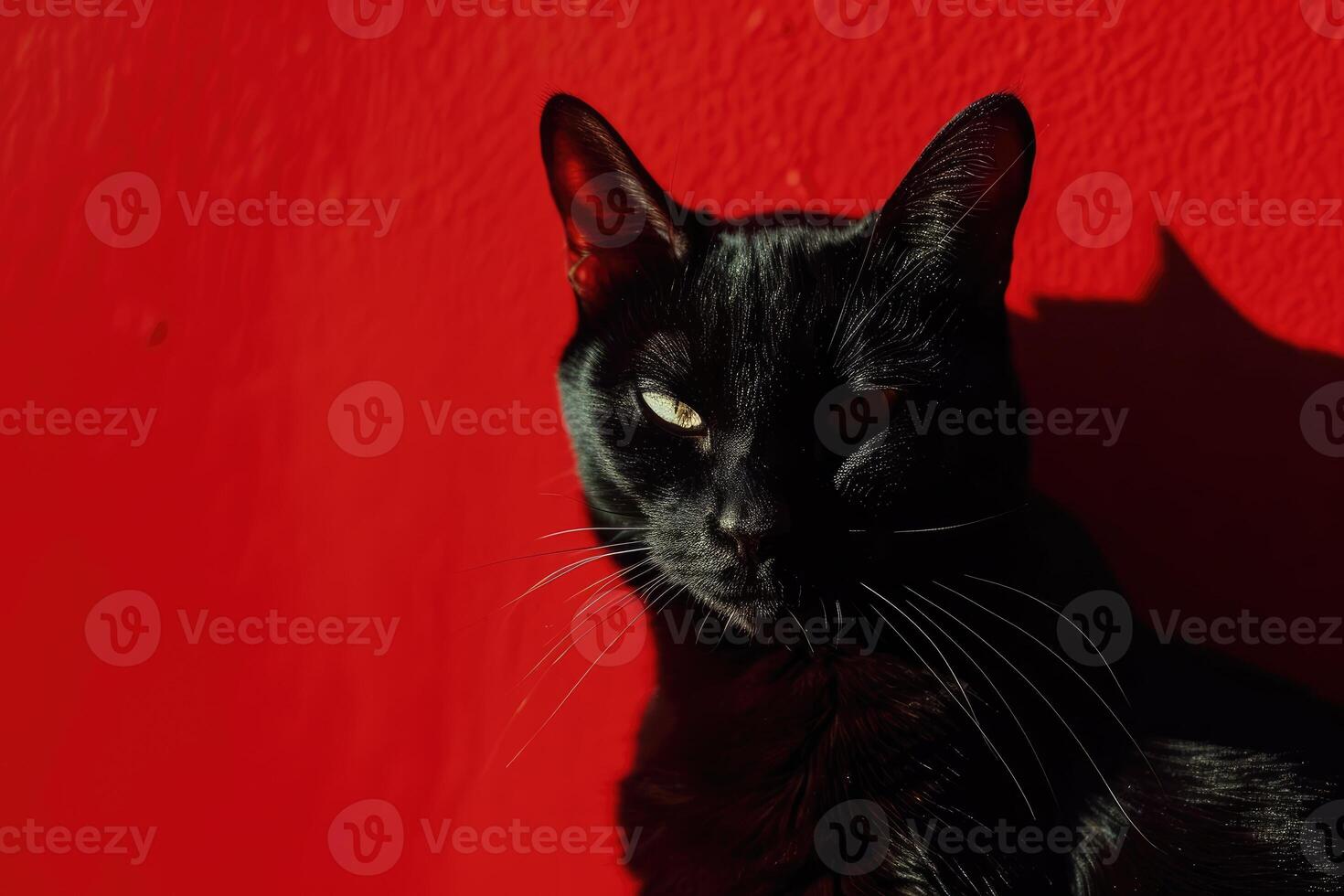 AI generated a black cat on a red background, black and red, stylish art photo