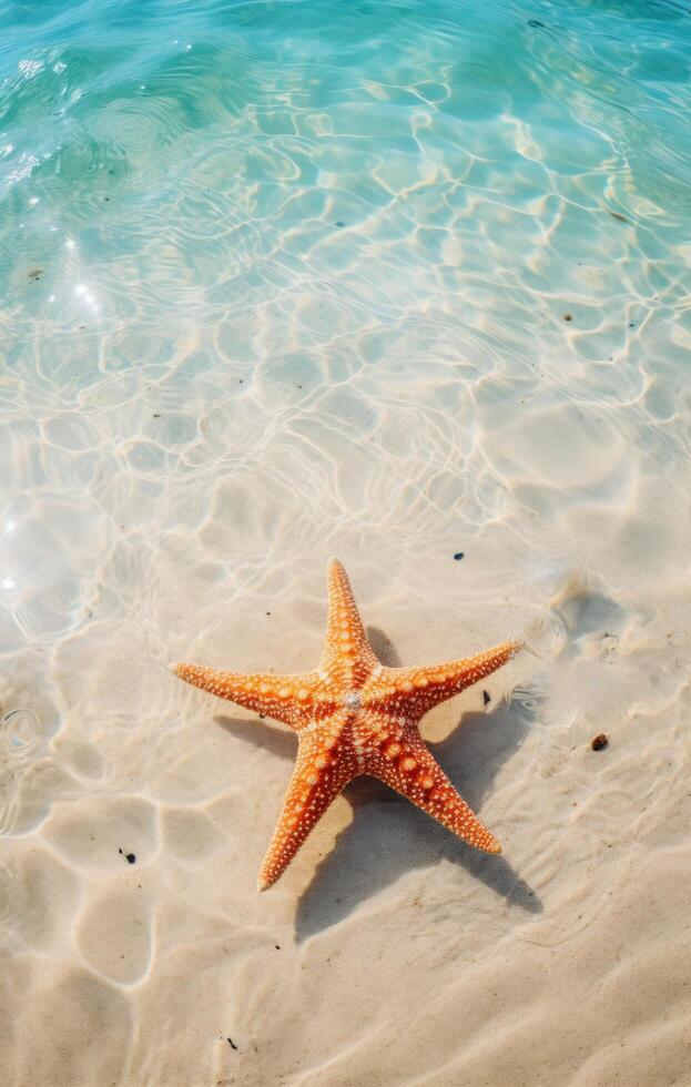 ai generado estrella de mar en el Oceano en fondo de pantalla, foto