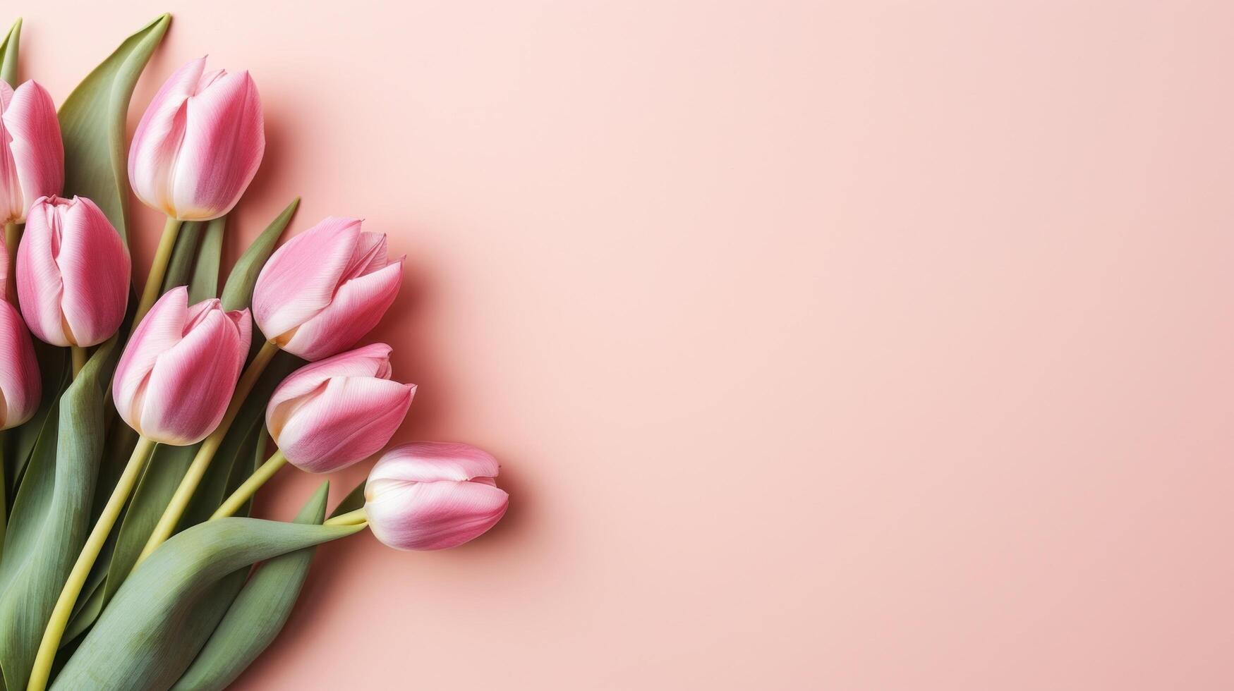 AI generated tulip flower on pastel background with copy space photo