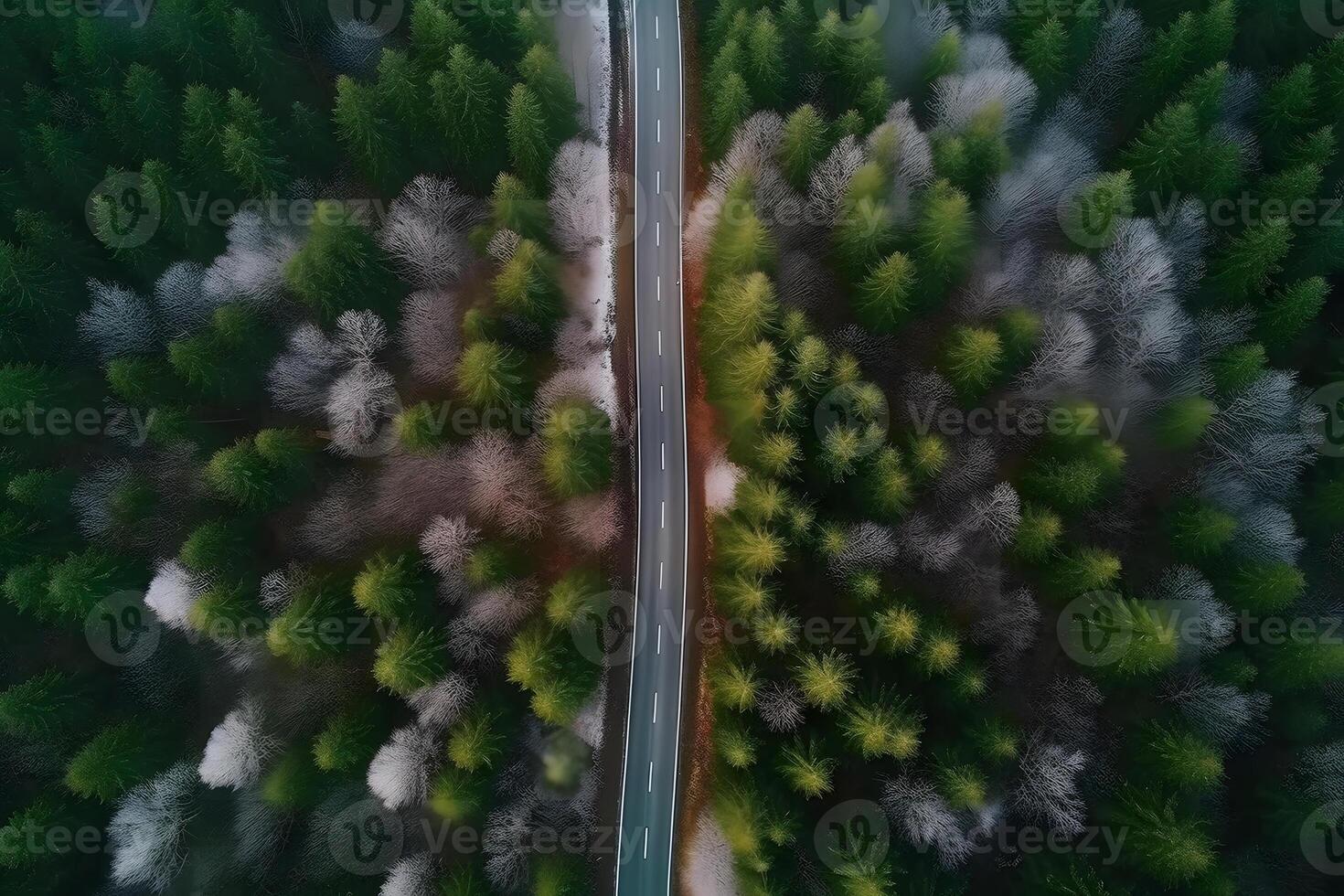 AI generated Drone shot above beautiful pine forest road at summer day, neural network generated image photo