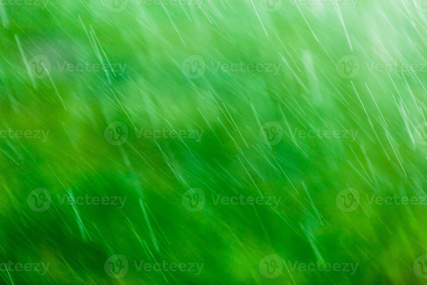 gotas de lluvia que caen borrosas sobre fondo verde con enfoque selectivo foto