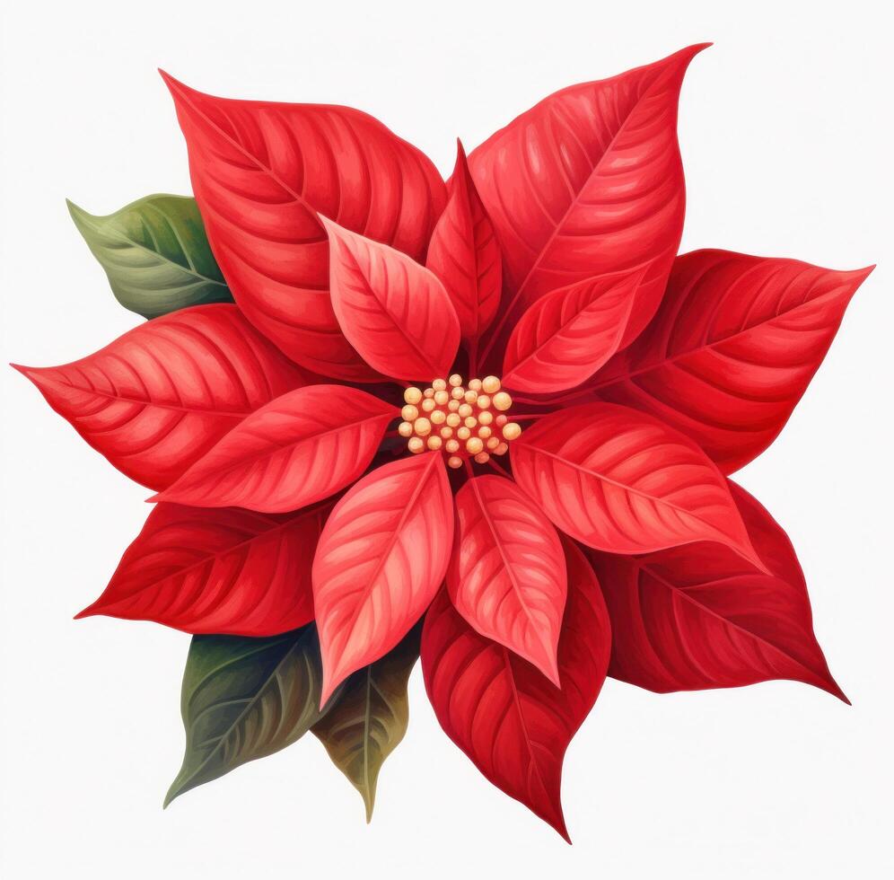 AI generated poinsettia flower id on white background photo