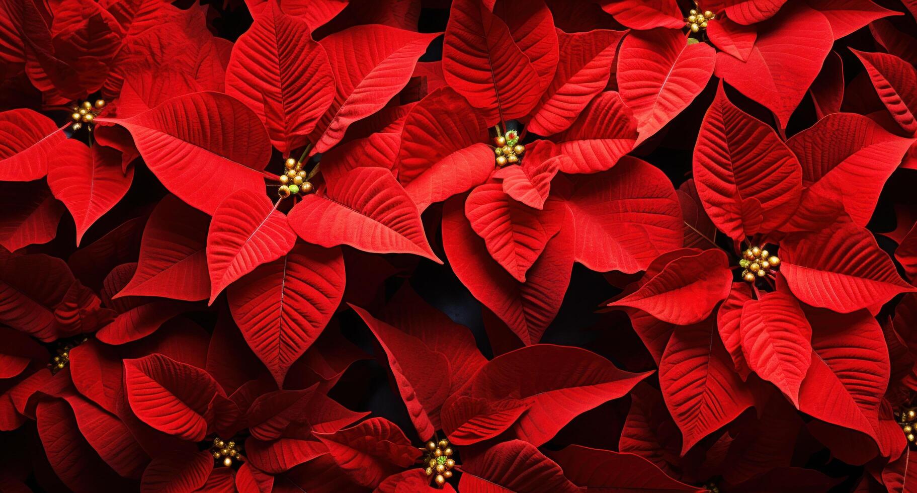 ai generado más Navidad flor de pascua en Navidad árbol antecedentes foto