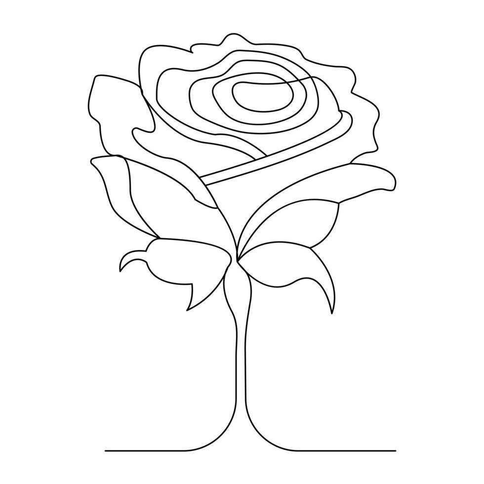 Continuous One line rose flower drawn outline vector art illustration and valentine's day line art design