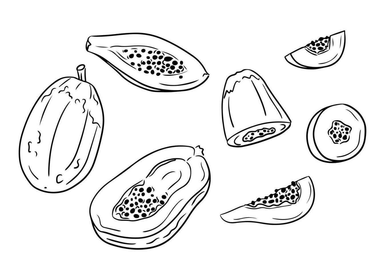 Papaya fruit. Hand drawn contour doodle set. Black outline sketchy full fruit and pieces on white background. Healthy food concept. Ideal for coloring pages, tattoo, pattern vector