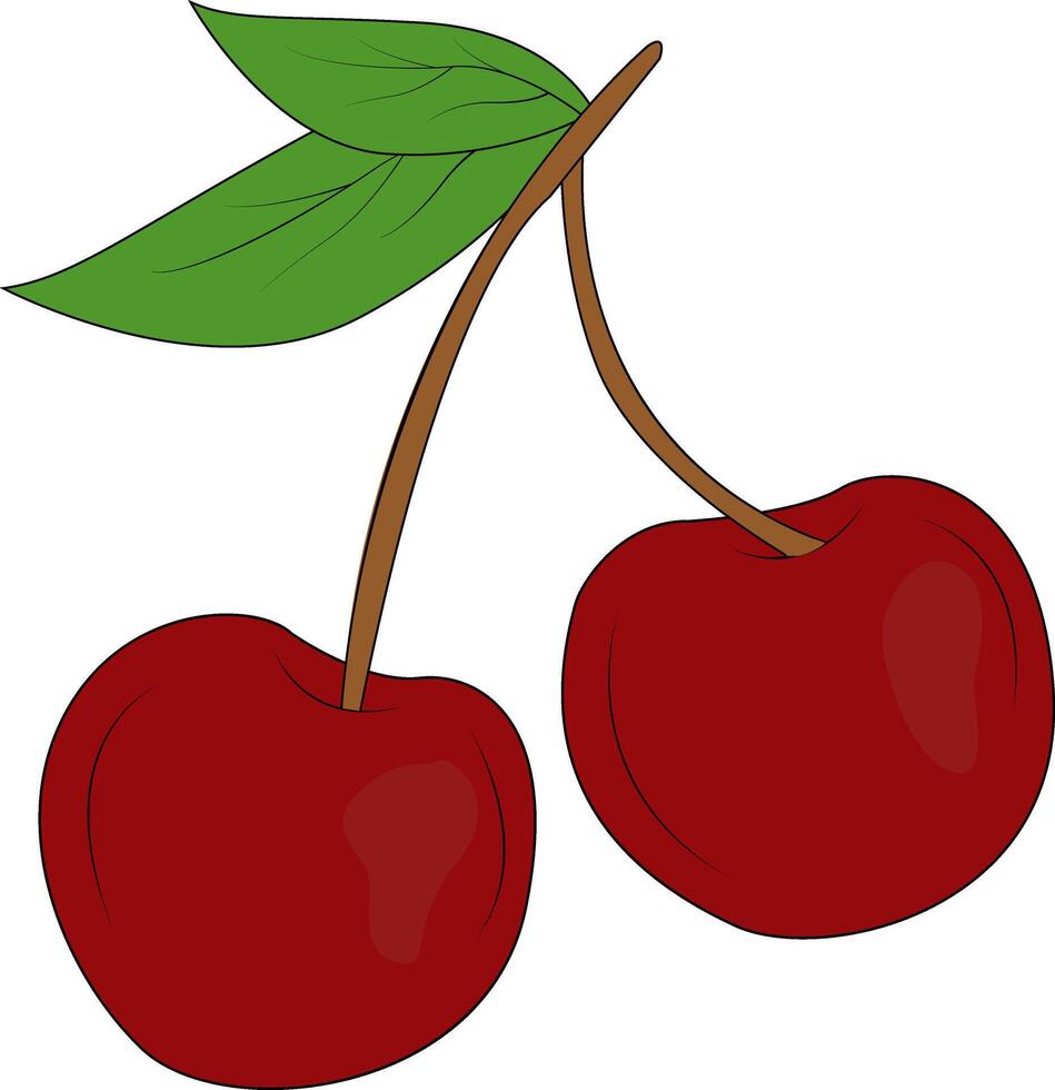 Ripe cherry and bunches cherry. Red berries with green leaves. Delicious dessert. Natural product. Healthy eating and diet. Design of greeting cards, posters, patches, prints on clothes, emblems. vector