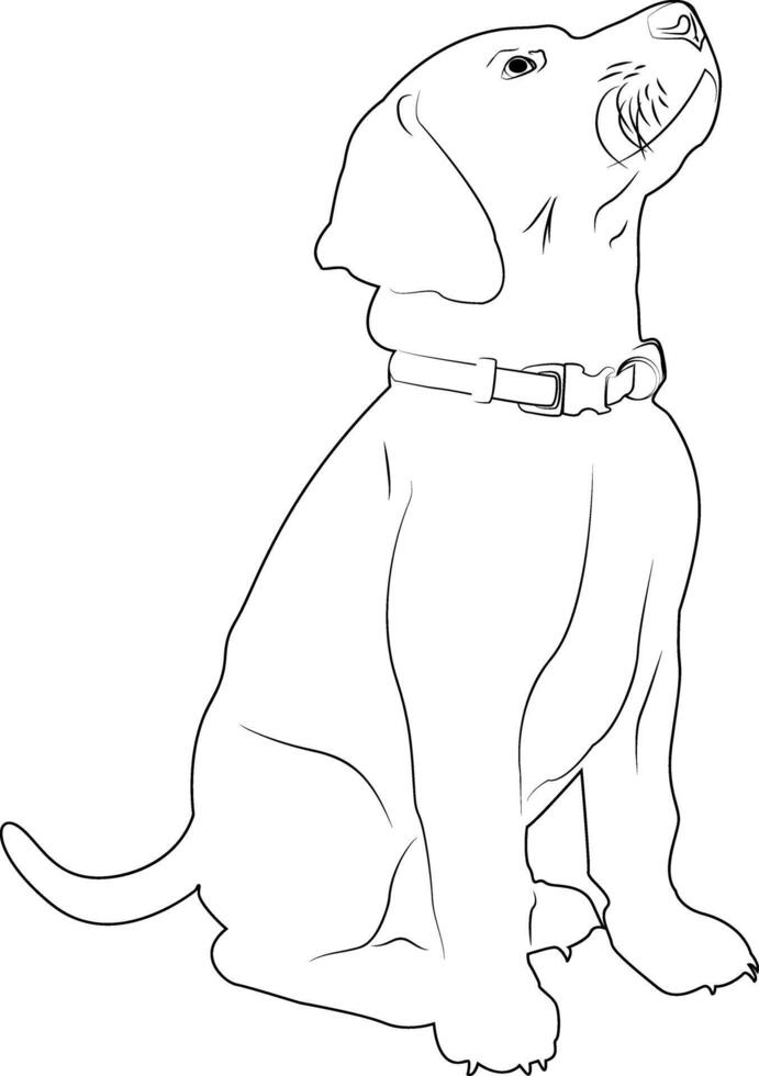 Silhouette dog drawn in pencil. Dog in a collar on a white background. Design of greeting cards, posters, patches, prints on clothes, emblems. Puppy. Pet. vector