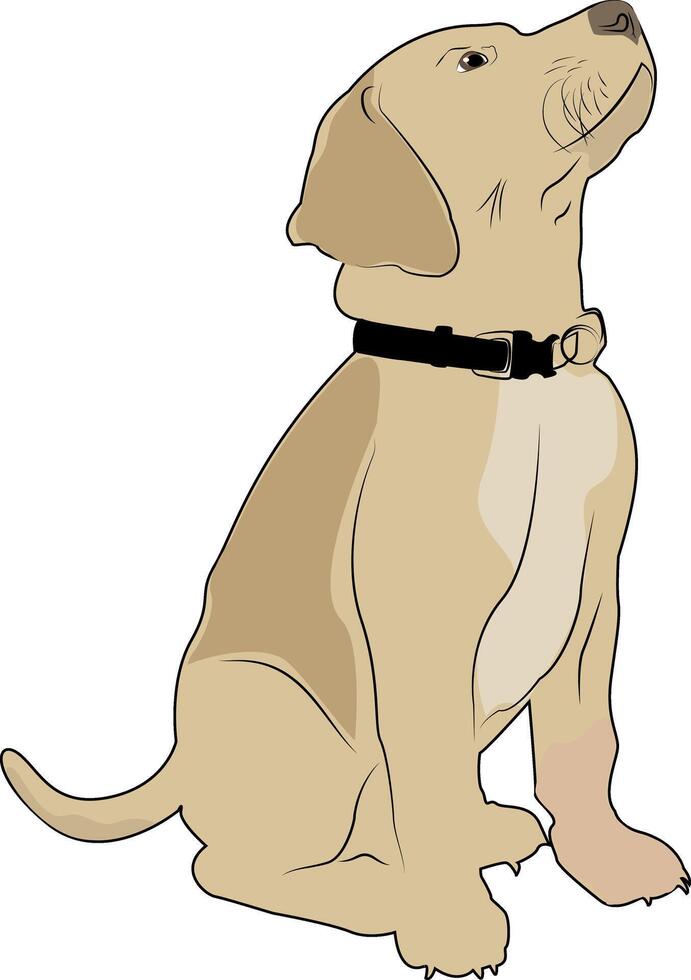 Dog in a collar on a white background. Pet. Design of greeting cards, posters, patches, prints on clothes, emblems. Puppy. vector