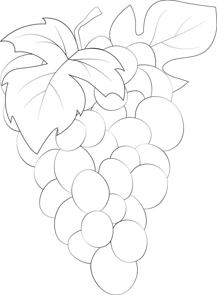 Grape silhouette. Grape bunch and leaves. Natural product. Healthy eating and diet. Design of greeting cards, posters, patches, prints on clothes, emblems. Sweet grapes. vector